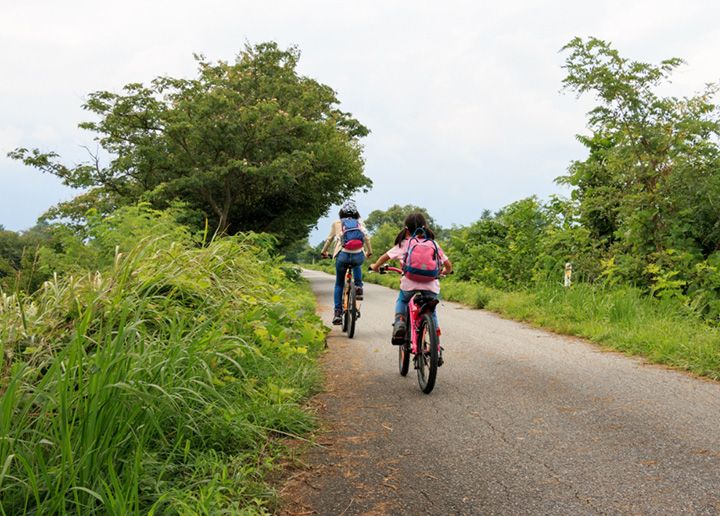 Adult and child riding their bicycles